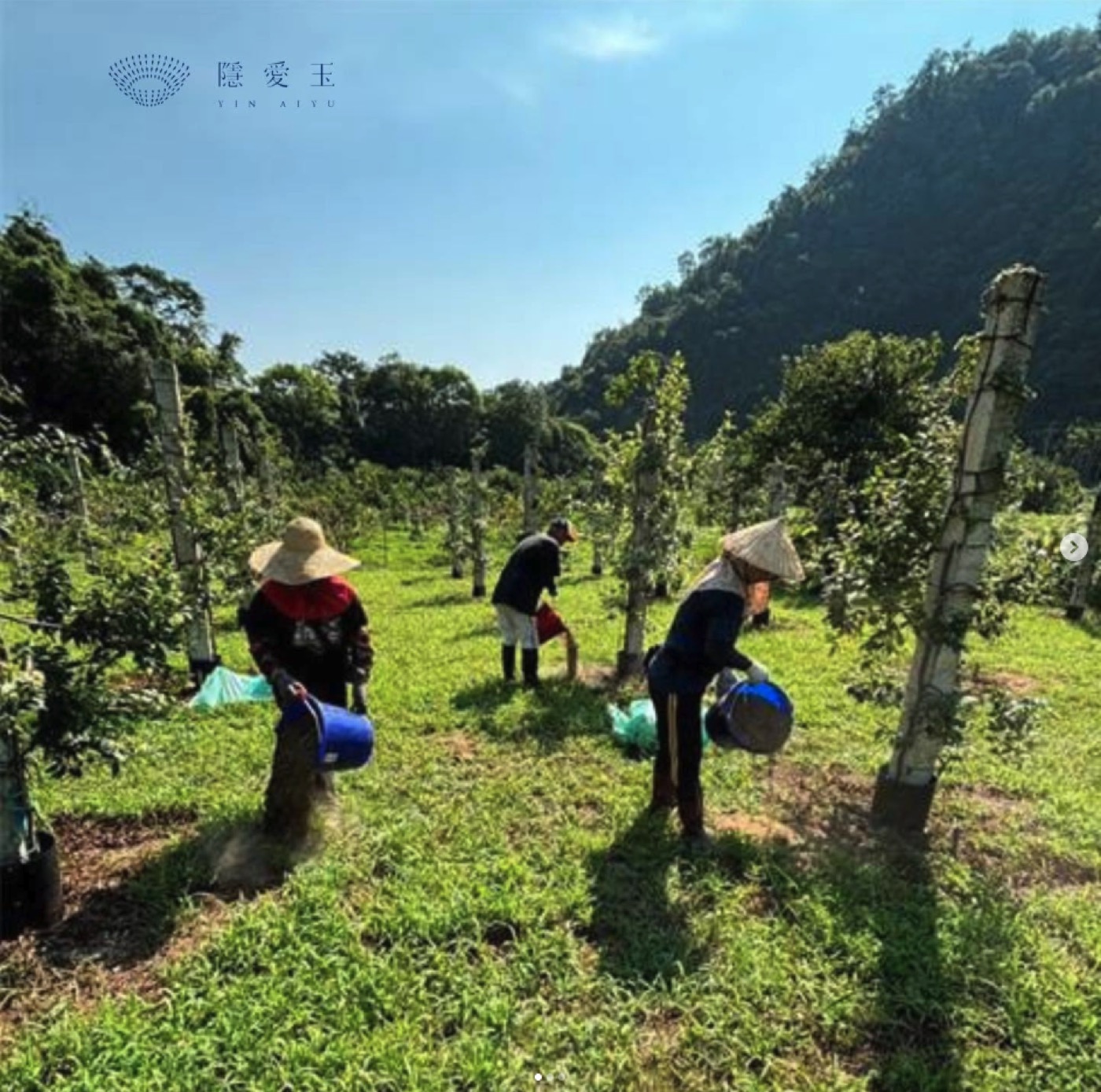 牛鬥農場一景